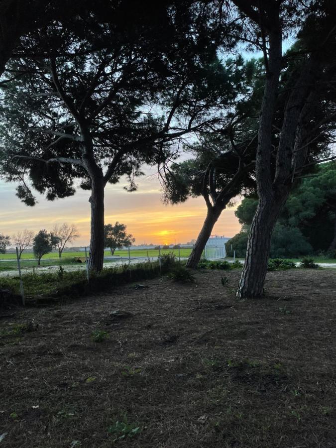 Casa Rural Vacacional Puerto Real Dış mekan fotoğraf